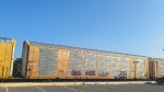 CN 690999 (Body) CTTX 690999 (Flat)